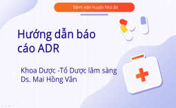 Hướng dẫn báo cáo ADR