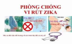 Khuyến cáo chung cho cộng đồng phòng bệnh do vi-rút Zika