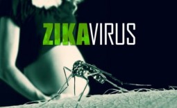 Phòng tránh bệnh do vi-rút Zika: Phụ nữ mang thai cần ghi nhớ